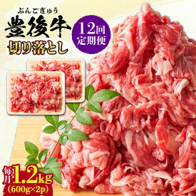 【ふるさと納税】【全12回定期便】【大容量パック！】 おおいた豊後牛 牛肉 切り落とし 1.2kg (600g×2) 日田市 / 株式会社MEAT PLUS　肉 牛肉 和牛[AREI049]