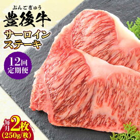 【ふるさと納税】【全12回定期便】おおいた豊後牛 サーロインステーキ 500g (250g×2枚) 日田市 / 株式会社MEAT PLUS　肉 牛肉 和牛[AREI058]