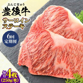 【ふるさと納税】【全6回定期便】おおいた豊後牛 サーロインステーキ 1kg (250g×4枚) 日田市 / 株式会社MEAT PLUS　肉 牛肉 和牛[AREI060]