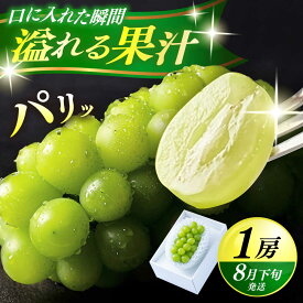 【ふるさと納税】【先行予約・26年8月以降発送】日田産シャインマスカット1房(約500g)　日田市 / 南国フルーツ株式会社 ブドウ 葡萄 ぶどう シャインマスカット 1房 10000円 1万円【配送不可地域：離島】[ARET004]