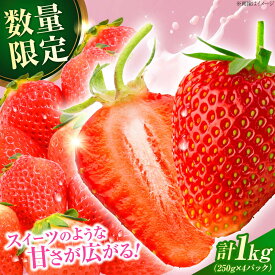【ふるさと納税】【先行予約・26年2月以降発送】　大分産ベリーツ(約250g×4パック)　日田市 / 南国フルーツ株式会社 ベリーツ イチゴ 苺 いちご フルーツ[ARET010]