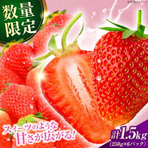yӂ邳Ɣ[Łzys\E26N2ȍ~z啪Yx[c(250g×6pbN)@cs / 썑t[c x[c C`S   t[c[ARET011]