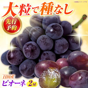 yӂ邳Ɣ[ŁzyԌz sI[l 1i600`700g×2[j cs / JA@[AREW004]