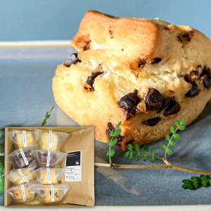 yӂ邳Ɣ[ŁzsgpXR[8&܂邹IWiR[q[()100gZbg@cs / ܂邹@ Ăَq uhR[q[[ARFH004]