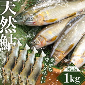 【ふるさと納税】日田産天然鮎(冷凍)1kg　日田市 / 日田漁業協同組合 魚 あゆ アユ[ARFJ002]