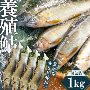 �y�ӂ邳�Ɣ[�Łz���c�Y�{�B��(�Ⓚ)1kg�@���c�s / ���c���Ƌ����g�� �� ���� �A��[ARFJ003]