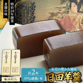 【ふるさと納税】赤司ようかん 2本入(小豆こし1、塩1)　日田市 / 有限会社赤司日田羊羹本舗 羊羹 和菓子 お菓子[ARFQ004]