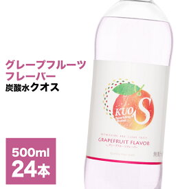 【ふるさと納税】炭酸水 クオス グレープフルーツフレーバー 500ml 24本 1箱 KUOS 強炭酸水 炭酸水フレーバー 水 天然水 ミネラルウォーター 炭酸 九州 国産 採水地保証 日田 送料無料