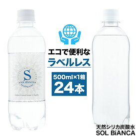 【ふるさと納税】ミネラル炭酸水ソルビアンカ ラベルレス 500ml×24本 1ケース ソルビアンカ 強炭酸 炭酸飲料 水 天然水 ミネラルウォーター 炭酸 九州 国産 送料無料