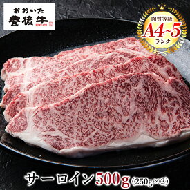 【ふるさと納税】おおいた 豊後牛 サーロインステーキ 250g×2枚 合計500g ステーキ サーロイン 牛肉 肉 牛 A4 A5 ランク 大分県産 冷凍 送料無料