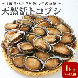 楽天市場 トコブシの通販