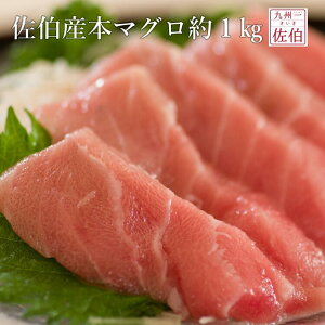 最高級 本マグロ 魚の人気商品 通販 価格比較 価格 Com