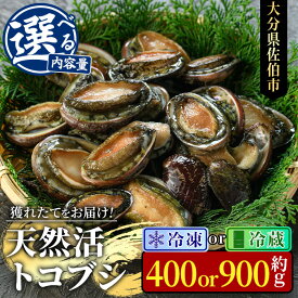 【ふるさと納税】＜内容量・配送方法(冷凍・冷蔵)が選べる＞ 天然 トコブシ (約400g・約900g) 鮮魚 魚介 貝 トコブシ とこぶし 酒蒸し 網焼き バター焼き バーベキュー 獲れたて 冷凍 冷蔵 海の直売所 大分県 佐伯市 魚貝 殻付【AS107・AS82・AS149・AS150】【海べ】