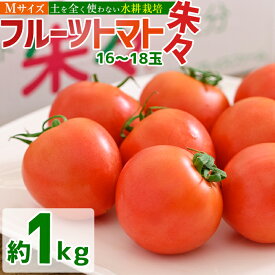 【ふるさと納税】フルーツトマト 朱々 Mサイズ (計1kg・16-18玉) M 高糖度 糖度 フルーツトマト トマト 野菜 サラダ 大分県 佐伯市 九州産 国産 大分県 佐伯市【CH63】【サニープレイス】