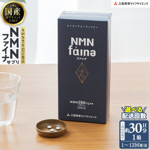 yӂ邳Ɣ[Łz͂񐔂Iׂ遄SYNMNTvguNMNt@Civ(1A3񖈌A6񖈌A12񖈌jNT|[gTvg NMN  RVFW 啪 