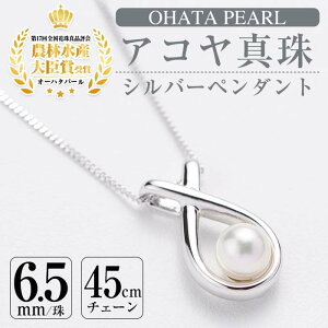 yӂ邳Ɣ[ŁzAR^ Vo[ y_g (6.5mmE약`F[45cm) ^ p[ y_g tH[} p[eB[   Ǝ w  yAF04zy(L)I[n^