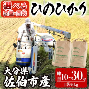 yӂ邳Ɣ[ŁzeʁE͂񐔂Iׂ遄ߘa7NYVā啪Ђ̂Ђ (10kg`30kg)   10kg 15kg 30kg 3 6 3 6 Ђ̂Ђ qmqJ   V 啪