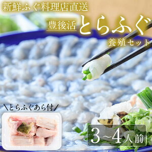 【ふるさと納税】<着日指定必須>新鮮ふぐ料理店直送 「豊後活とらふぐセット 養殖3-4人前」とらふぐ ふぐ フグ あら ふぐ刺し フグ刺し ふぐ刺身 フグ刺身 刺身 鮮魚 冷蔵 国産 大分県
