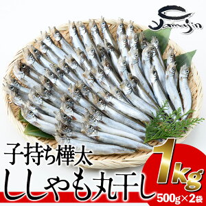 yӂ邳Ɣ[Łzqۊ (v1kgE500g×2)   VV ۊ  CN Ⓚ 啪 syAP82zy()}Wz