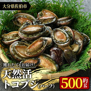 貝 トコブシ 貝の人気商品 通販 価格比較 価格 Com