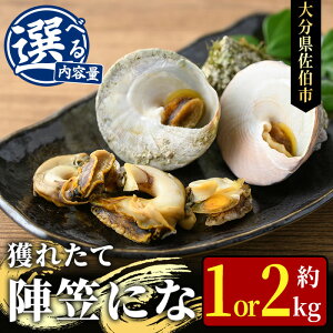 yӂ邳Ɣ[ŁzeʂIׂ遄w}ɂ (1kgE2kg)  L ɂ ji  ԏĂ o^[Ă o[xL[ lꂽ ① C̒ 啪 syAS125EAS84zyC ()z