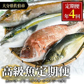 楽天市場 ヒラマサ 産地 都道府県 大分 食品 の通販