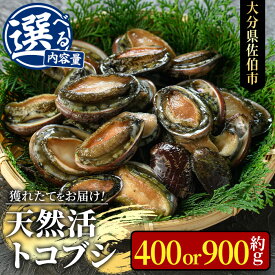 【ふるさと納税】＜内容量が選べる＞天然 トコブシ (約400g・約900g) 鮮魚 魚介 貝 トコブシ とこぶし 酒蒸し 網焼き バター焼き バーベキュー 獲れたて 冷蔵 海の直売所 大分県 佐伯市 魚貝 殻付【AS107・AS82】【海べ 】