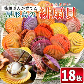楽天市場 緋扇貝の通販 楽天市場 緋扇貝の通販