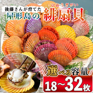 �y�ӂ邳�Ɣ[�Łz�����e�ʂ��I�ׂ遄���L (�v18���E�v32��) �C�N �q�I�E�M�L BBQ �o�[�x�L���[ �Y�Ώ� ������ �����n ���Y �����s�Y ���`���Ō㓡���񂪈�Ă����L�yAX61�EAX63�z�y�㓡���