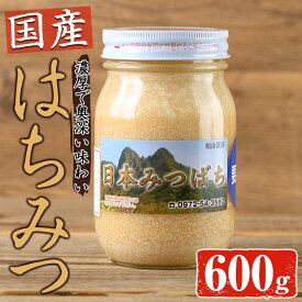 【ふるさと納税】国産 はちみつ (600g) ハチミツ 蜂蜜 ロイヤルゼリー 調味料 スイーツ 多賀さん採蜜 大分県 佐伯市【AY66】【(公財)さいき農林公社】