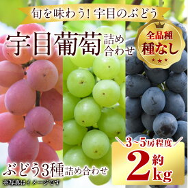【ふるさと納税】＜先行予約受付中！2025年9月以降順次発送予定＞宇目葡萄 3種詰め合わせ(合計2kg・3-5房) ピオーネ 安芸クイーン ハニービーナス 種無し ぶどう【AY71】【(公財)さいき農林公社】
