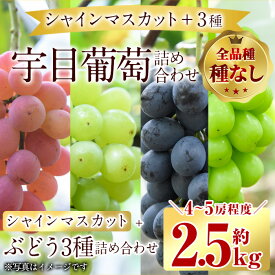 【ふるさと納税】＜先行予約受付中！2025年9月以降順次発送予定＞宇目葡萄 3種詰め合わせ＋シャインマスカット入り(合計2.5kg・4～5房) ピオーネ 安芸クイーン ハニービーナス ぶどう 種なし【AY72】【(公財)さいき農林公社】