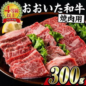 yӂ邳Ɣ[Łza ē (300g) Y L㋍ BBQ o[xL[ y ₫ɂ  SŇb 啪 syBD164zy{{Y ()z