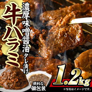 yӂ邳Ɣ[ŁzZXݖ ^Ђn~(TK)  ŕ֗I (v1.2kgE300g×4p)  Ă ȒP ē Ă ₫ɂ ؂  Ⓚ BBQ 󏭕 yBD300zy
