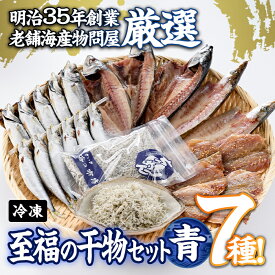 【ふるさと納税】老舗海産物問屋 選りすぐり干物 セット 青 (7種)あじ 鯵 さば 鯖 みりん ちりめん 海鮮 魚 いわし セット 詰合せ 【BQ83】【佐伯海産(株)】