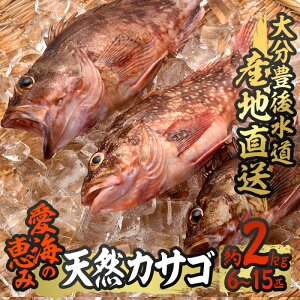 魚 かさごの人気商品 通販 価格比較 価格 Com