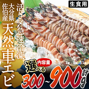 yӂ邳Ɣ[ŁzeʂIׂ遄VR YԃGr Hp (300gEv900g) Gr CV ԊCV Ⓚ hg  VՂ  o[xL[ Y 啪Y 啪 s ܂n糁yDL18EDL1