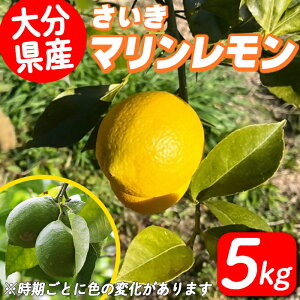 yӂ邳Ɣ[Łzs\tI2025N9{菇\聄  } 5kg k  Y  EG ʕ  ʎ t[c 啪 syDD09zyJA