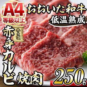 yӂ邳Ɣ[Łza ԐgJrē (250g) Y   ~ ቷn A4 a uh Jr ē BBQ Ⓚ 啪 syDH200zy()lNTz