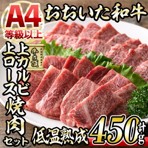 yӂ邳Ɣ[Łza JrEネ[XēZbg (v450gEJr250g+ネ[X200g) Y   ~ ቷn A4 a uh Jr [X ē BBQ Ⓚ yDH210zy(