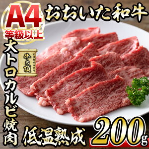 yӂ邳Ɣ[Łza gJrē (200g) Y   ~ ቷn A4 a uh BBQ Ⓚ 啪 syDH220zy()lNTz