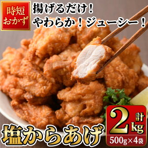 yӂ邳Ɣ[ŁzZ g邾 炩IW[V[I炠 (v2kgE500g×4P) Y  {  { 炠 g Ⓚ y ٓ ȒP Z 啪 syDH274z