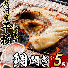【ふるさと納税】ギフト用品質！九州産 ひもの 鯛開き(1尾×5パック) 個包装 干物 鯛 開き 魚 海鮮 冷凍 ひもの 小分け 惣菜 おかず セット ギフト 贈り物 大分県 佐伯市【DH300】【ネクサ】