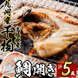 【ふるさと納税】ギフト用品質！九州産 ひもの 鯛開き(1尾×5パック) 個包装 干物 鯛 開き 魚 海鮮 冷凍 ひもの 小分け 惣菜 おかず セット ギフト 贈り物 大分県 佐伯市【DH300】【ネクサ】