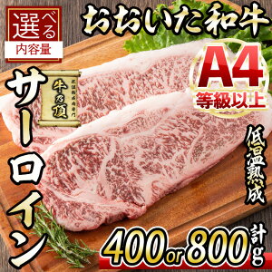 yӂ邳Ɣ[ŁzeʂIׂI a T[CXe[L (v400gEv800g) Y   ~ ቷn Xe[L A4 a uh BBQ  Ⓚ 啪 syDH62EDH63
