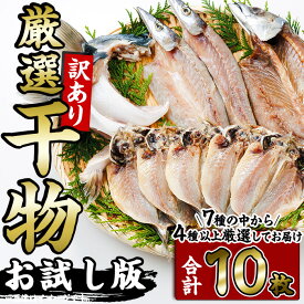 【ふるさと納税】＜訳あり＞ 厳選 干物 お試し版 (総量10枚) 簡単 調理 干物 あじ かます さば ぶり ぶりかま 開き 魚 海鮮 冷凍 詰め合わせ 大分県 佐伯市 やまろ渡邉【DL33】【鶴見食賓館】