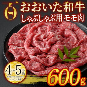 yӂ邳Ɣ[Łza Ԃԗp  (600g)  Ԃ Ⓚ Y 4 a  啪 syDP54zy ()܂ЂŁz