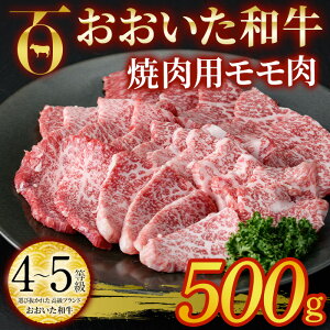 yӂ邳Ɣ[Łza ēp  (500g)  ē Y 4 Ⓚ a  啪 syDP55zy ()܂ЂŁz
