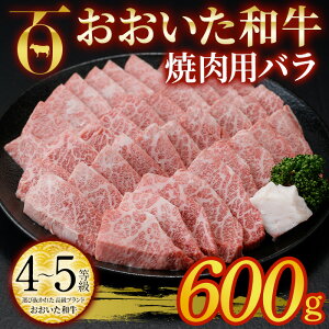 yӂ邳Ɣ[Łza ēp o (600g) o ē Y 4 Ⓚ a  啪 s yDP56zy ()܂ЂŁz