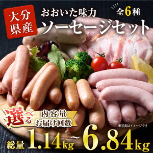 yӂ邳Ɣ[ŁzeʁE͂񐔂IׂI  \[Z[WZbg(1.14kg`6.84kg) EBi[ x[R  Y Ⓚ ؓ  lߍ킹 y  ٓ e